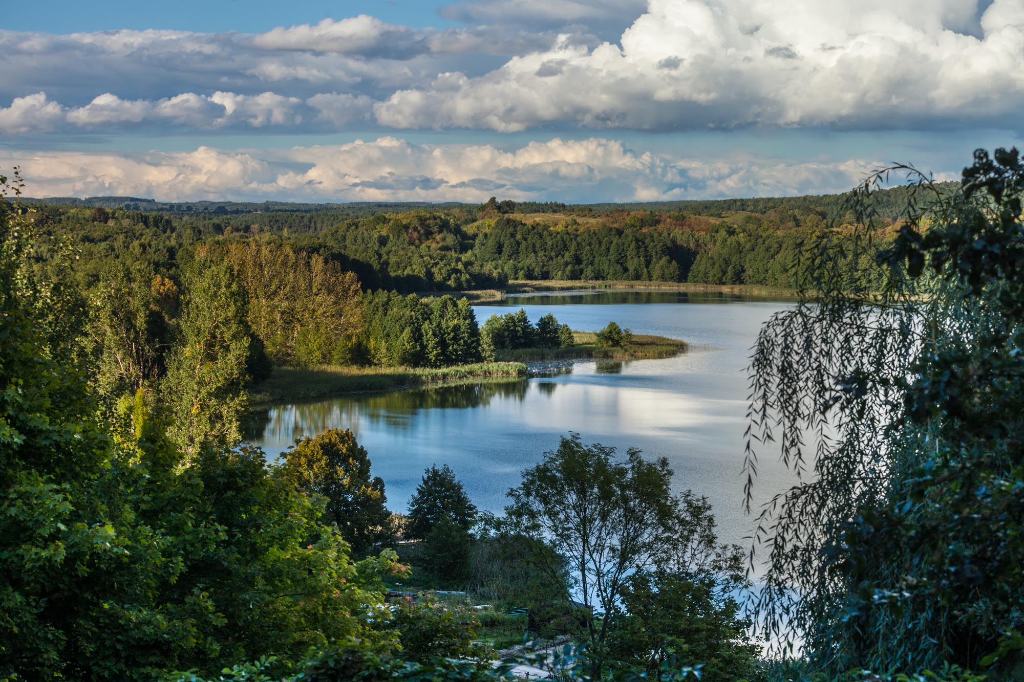 Widok z wysokiego brzegu na jezioro wśród lasów Pojezierza Brodnickiego