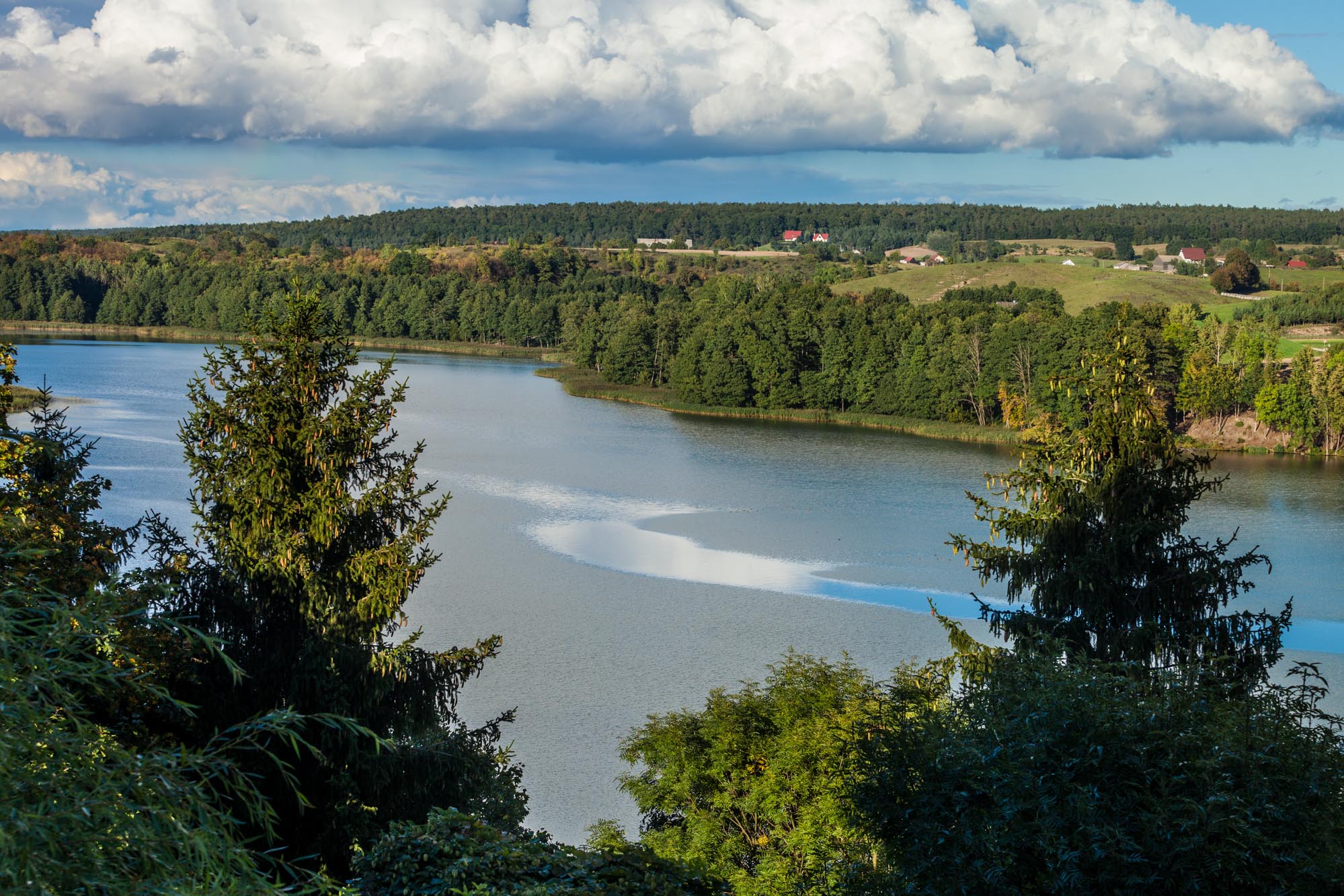 Jezioro wśród lasów i pól widziane ze skarpy na Pojezierzu Brodnickim