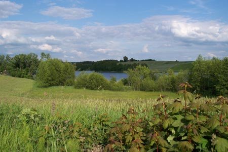 Widok na jezioro i łąki w gminie Bartniczka