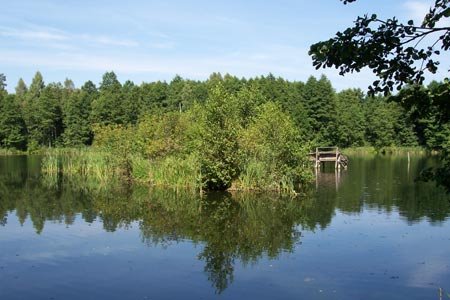 Jezioro wśród lasów w okolicy Długiego Mostu, gmina Bartniczka