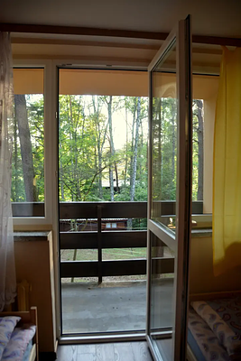 Forest view from a pavilion room balcony