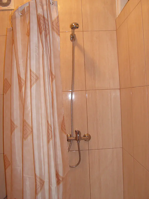 Shower in a pavilion room bathroom