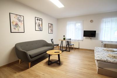 Relaxation area with a sofa and a coffee table in a room at Hajduczek