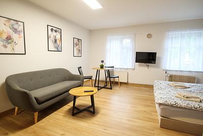 Bright room with a sofa, a table and a television at Hajduczek in Górzno