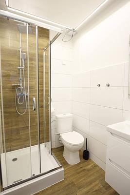 Bathroom with a shower cabin in the room with a sofa at Hajduczek