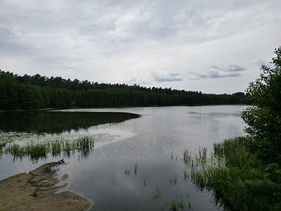 Jezioro Warpalskie w Warpalicach, gmina Osiek
