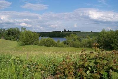 Widok na jezioro i łąki w gminie Bartniczka