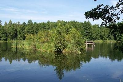 Jezioro wśród lasów w okolicy Długiego Mostu, gmina Bartniczka